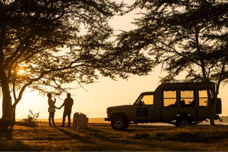 Romantic nature dinner and drinks